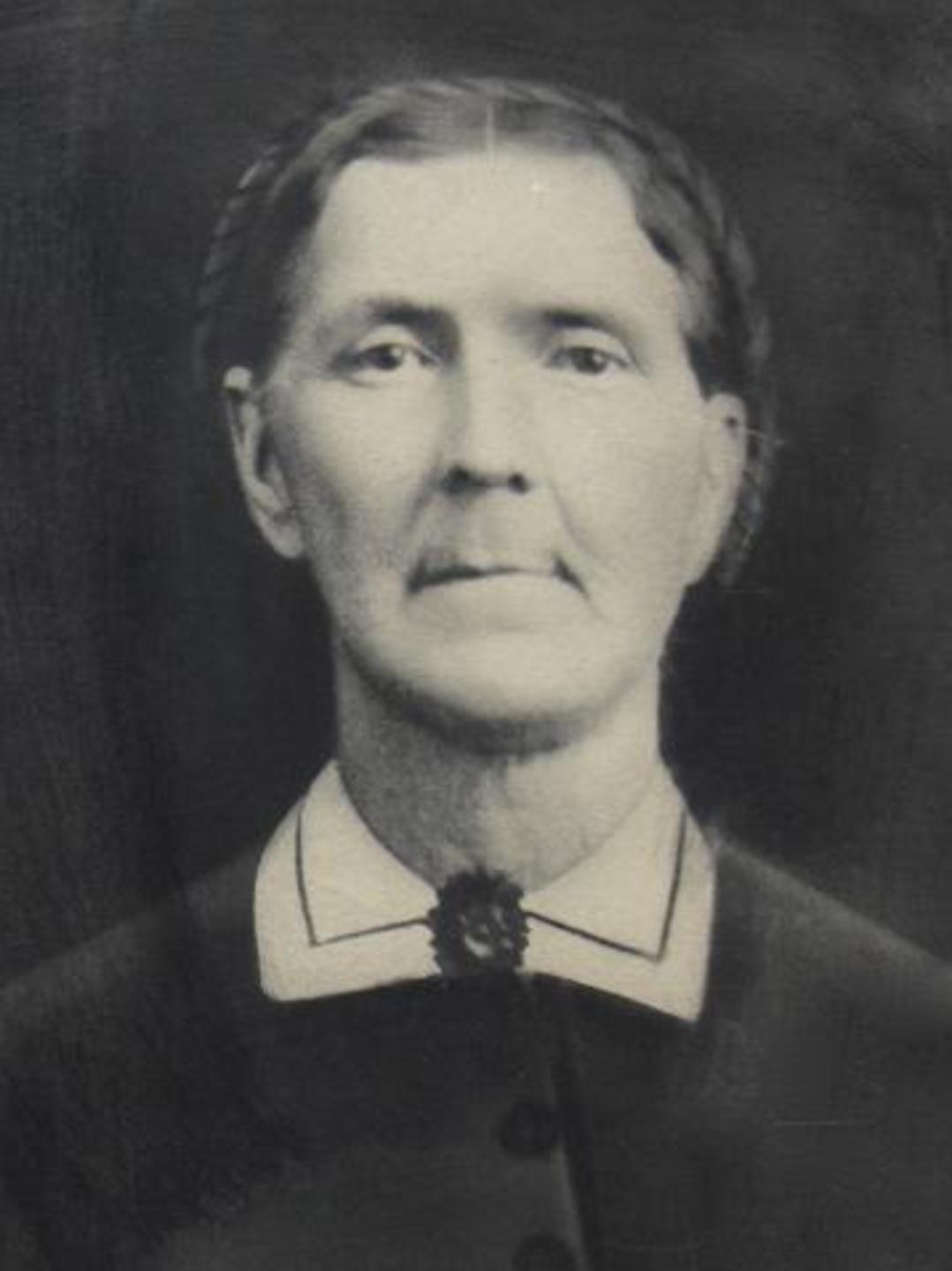 Olive Mehitable Cheney (1817 - 1907) Profile